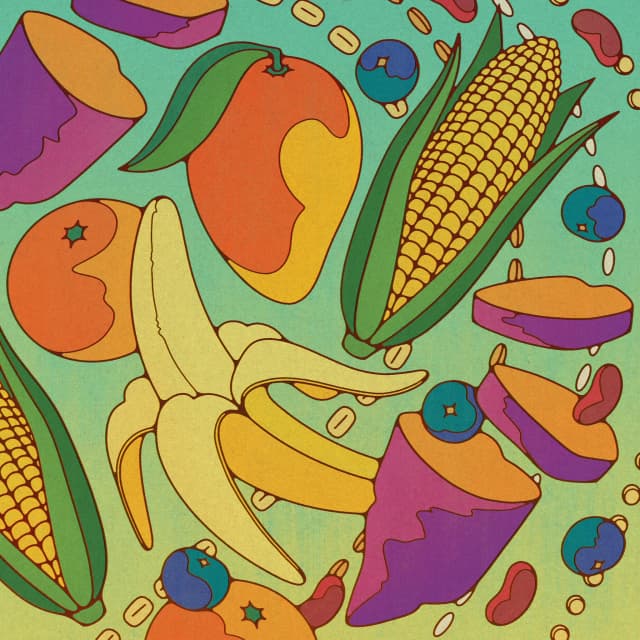 The Low-Carb Debate Gets a Colorful Treatment from Hayley Watson